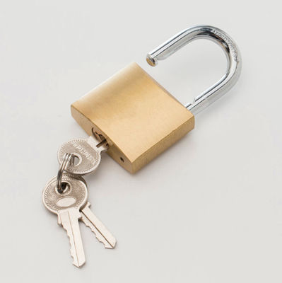 Dikke hoge beveiliging hangslot Duurzaam Messing Pad Sloten hoge precisie